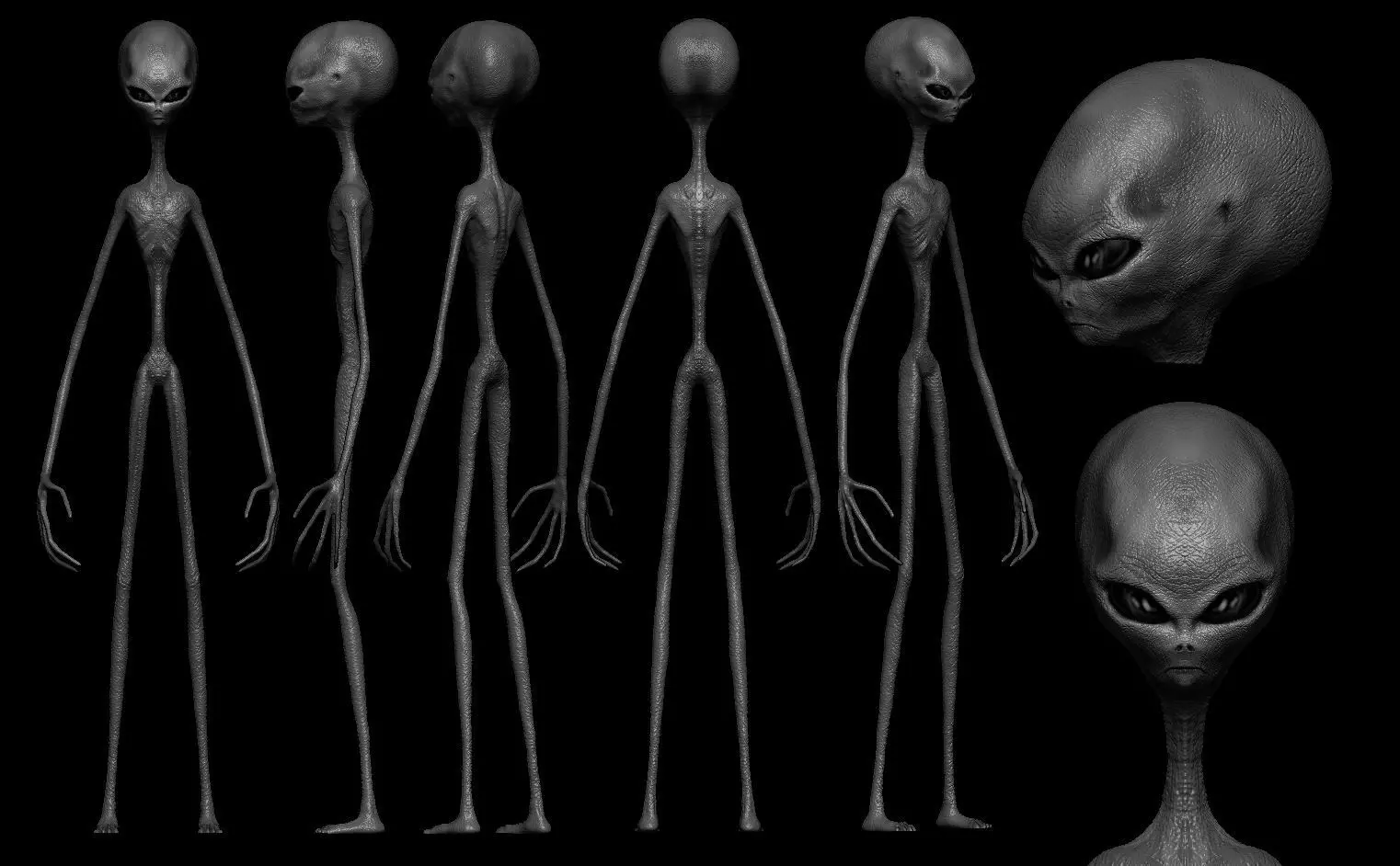 grey alien 3D model_0