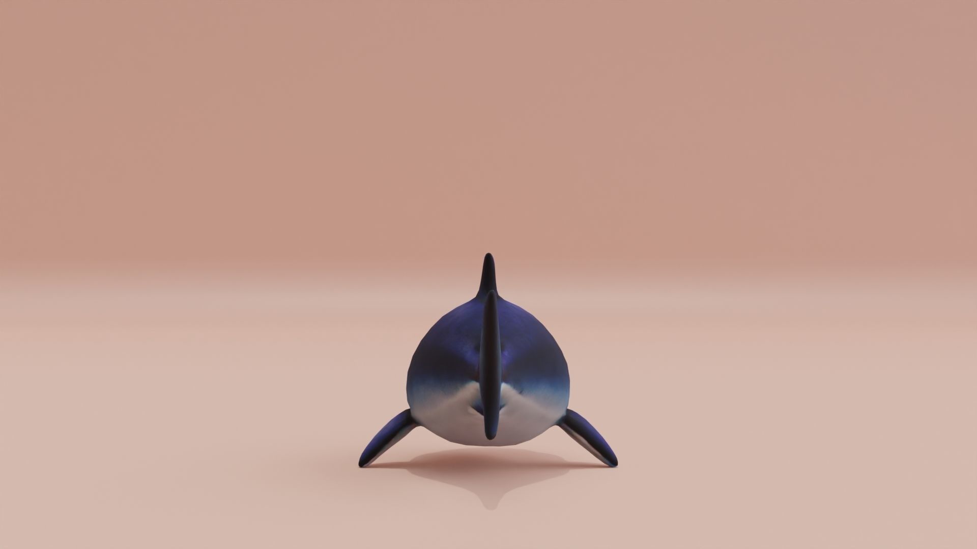 Baby Shark Fat Chibi Style Cartoon Low-poly 3D model_6