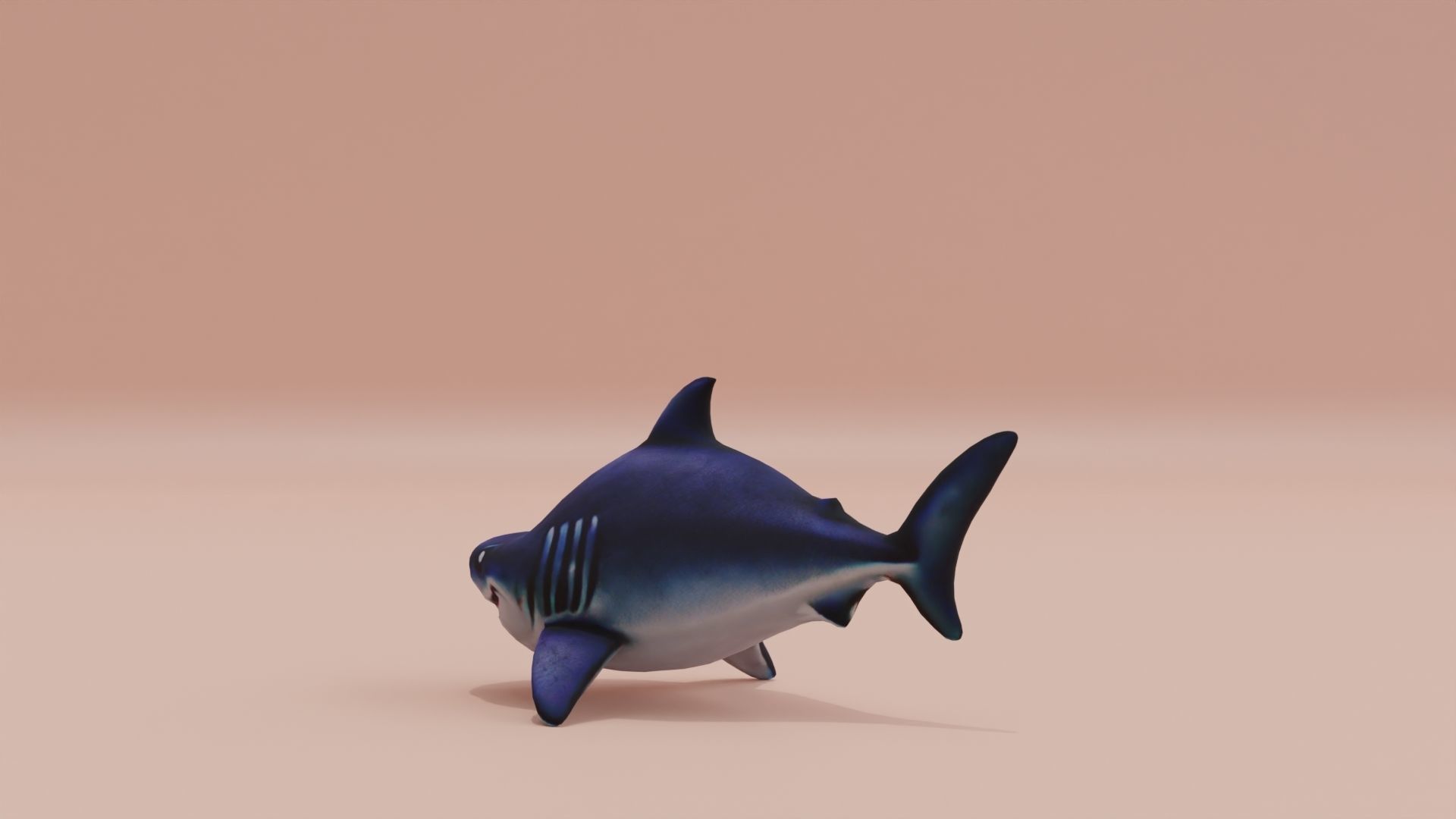 Baby Shark Fat Chibi Style Cartoon Low-poly 3D model_4
