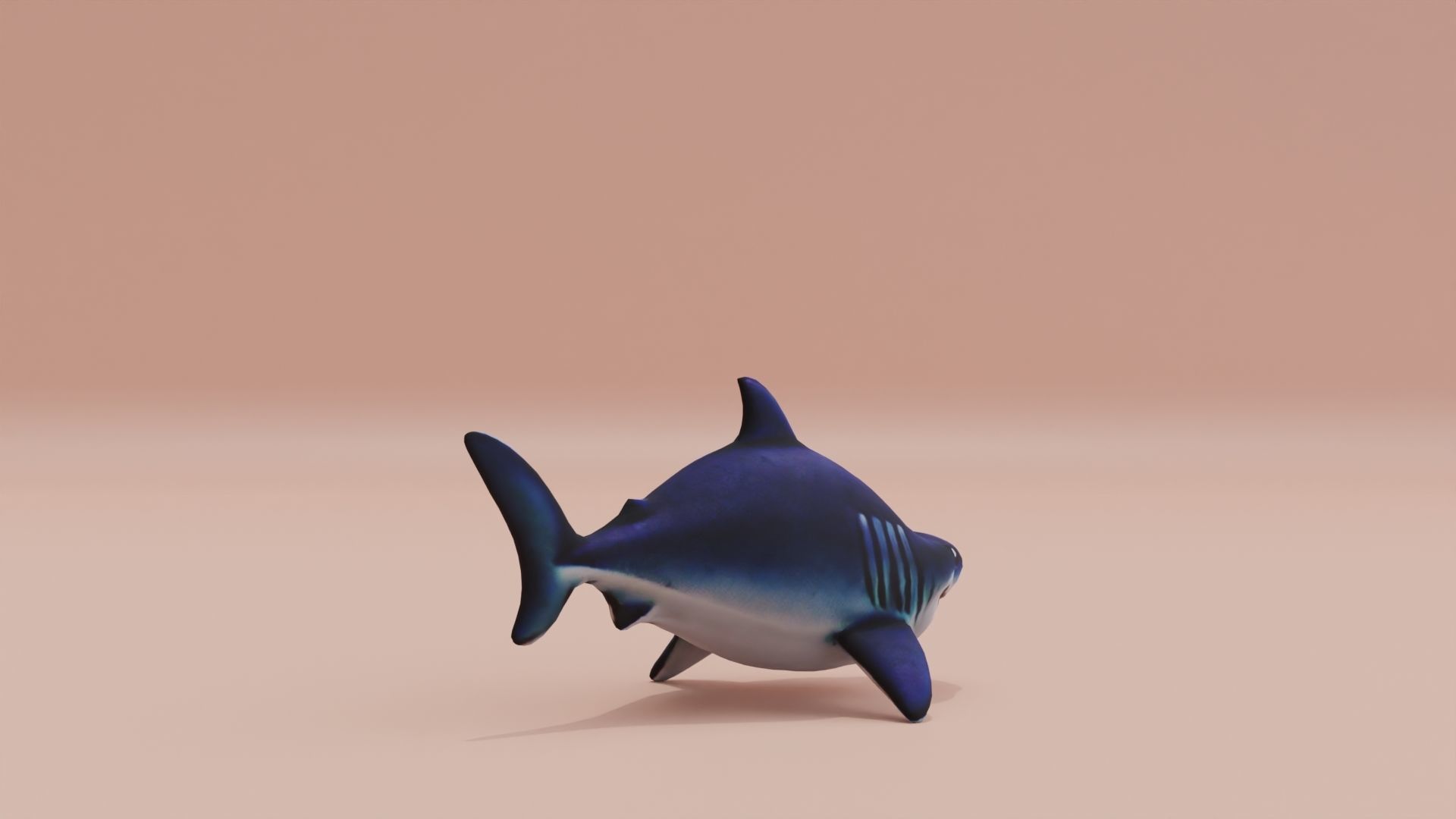 Baby Shark Fat Chibi Style Cartoon Low-poly 3D model_8