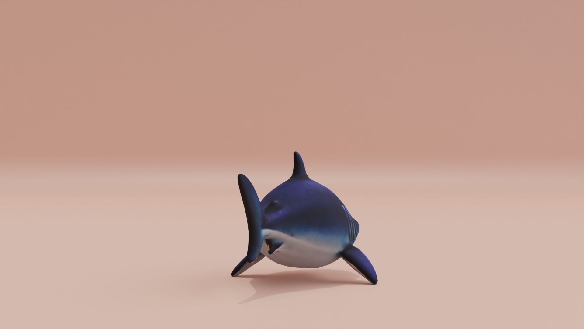 Baby Shark Fat Chibi Style Cartoon Low-poly 3D model_7