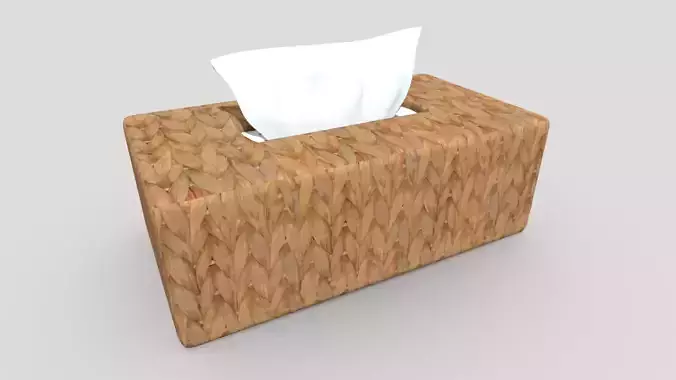 Tissue Box 6