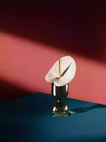 Anthurium flower 3D model