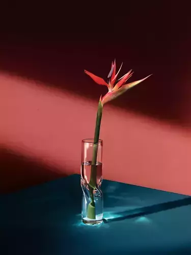 Strelitzia flower 3D model