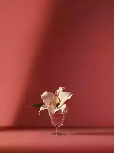 Lilium flower 3D model