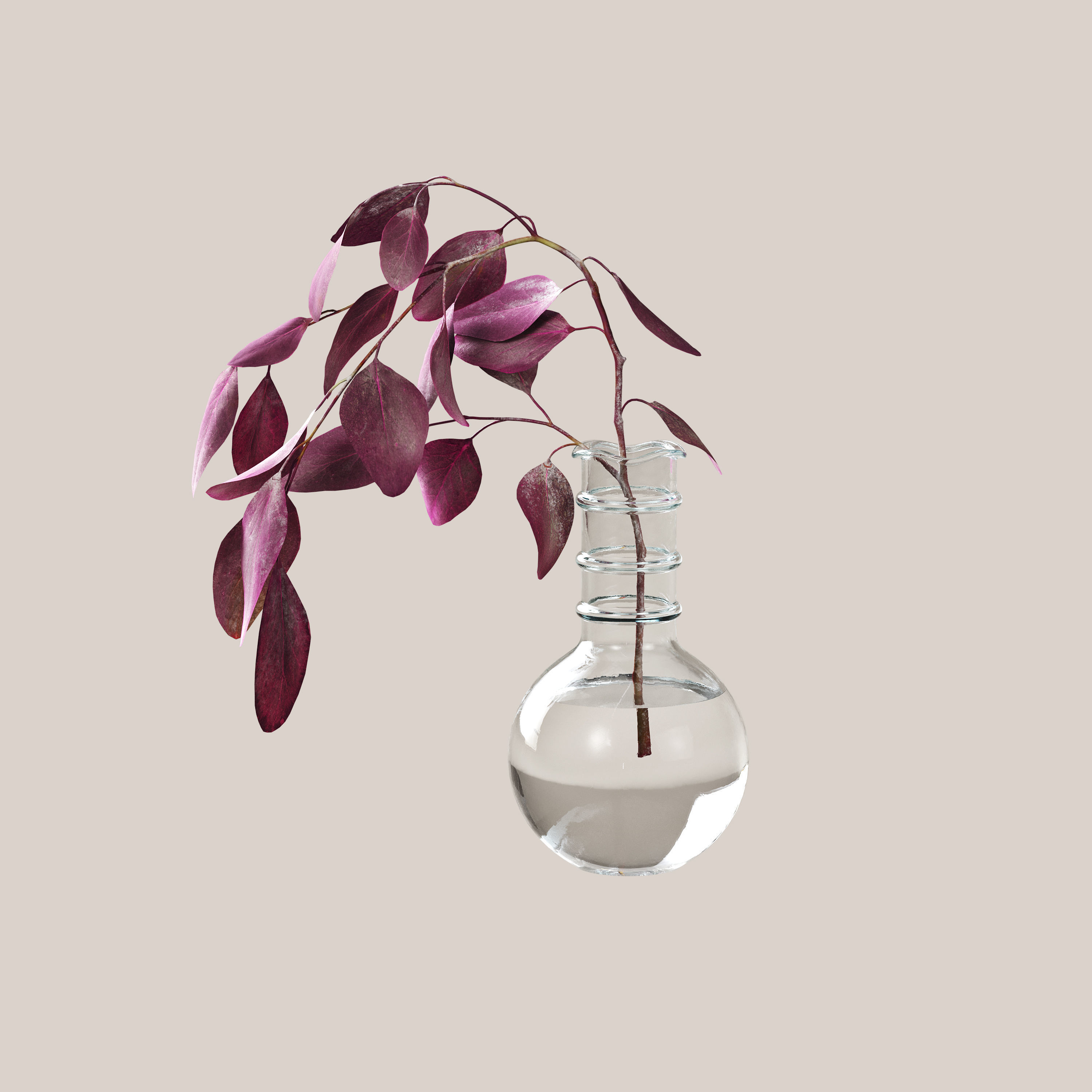 Eucaliptus flower 3D model_3