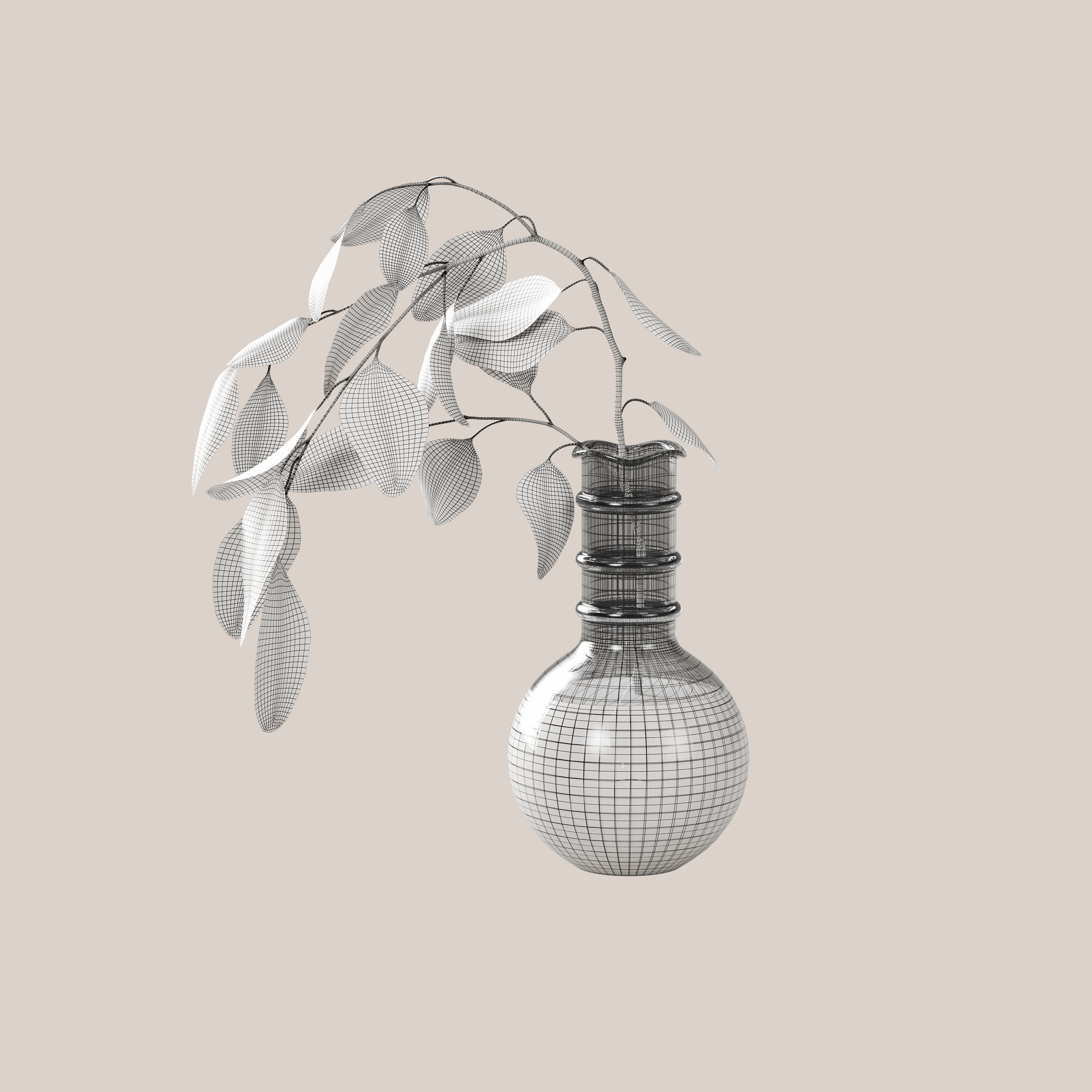 Eucaliptus flower 3D model_2