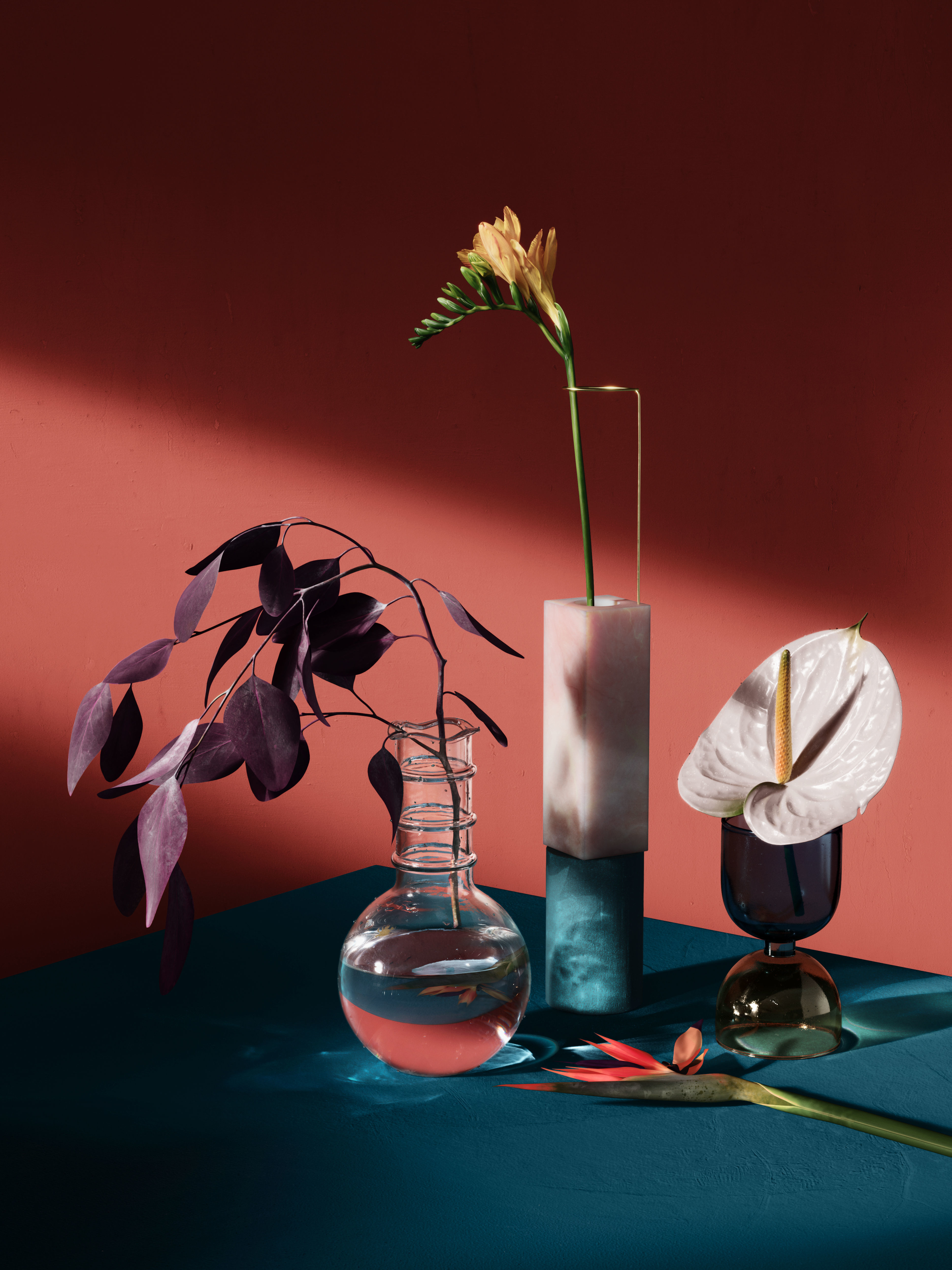 Eucaliptus flower 3D model_1