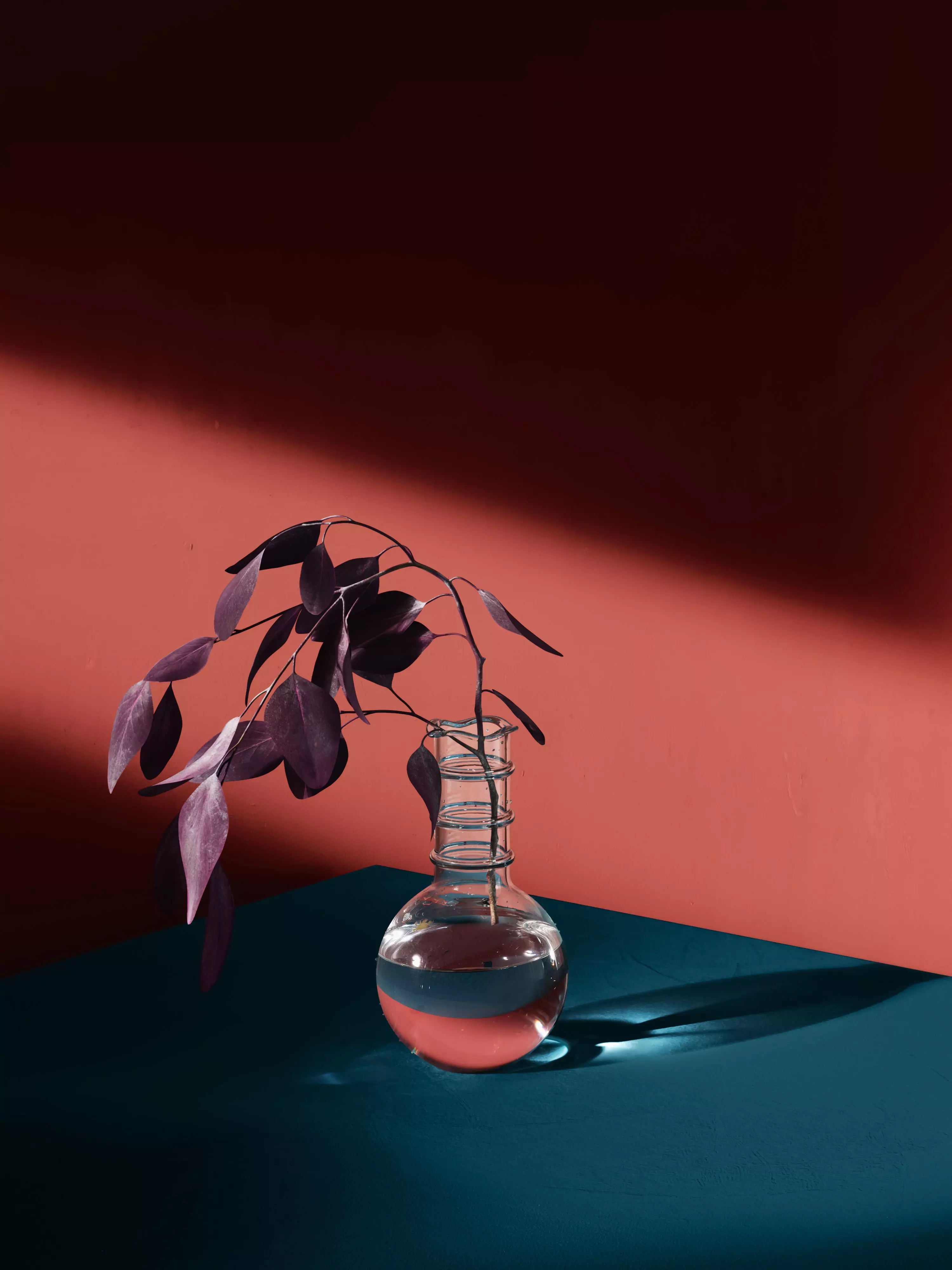 Eucaliptus flower 3D model_0