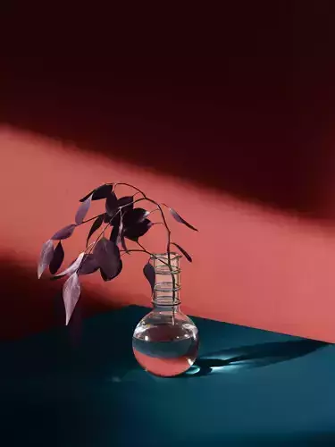 Eucaliptus flower 3D model