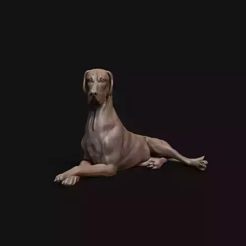 Great Dane resting dog - pre supported  3D print model