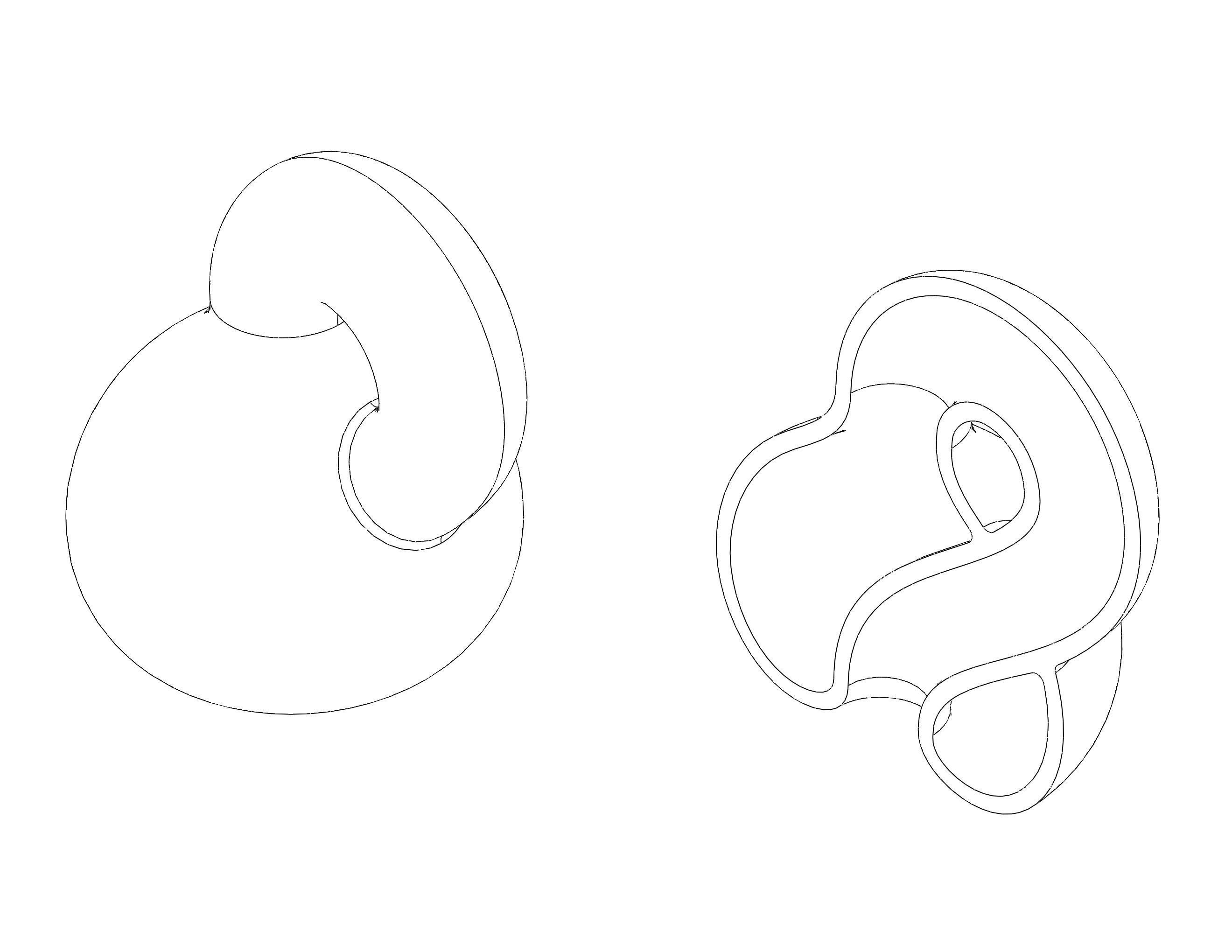 Optical illusion - Klein Bottle by MC Escher 3D model 3D printable ...