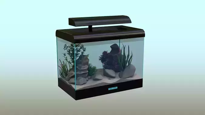 Fish Tank  