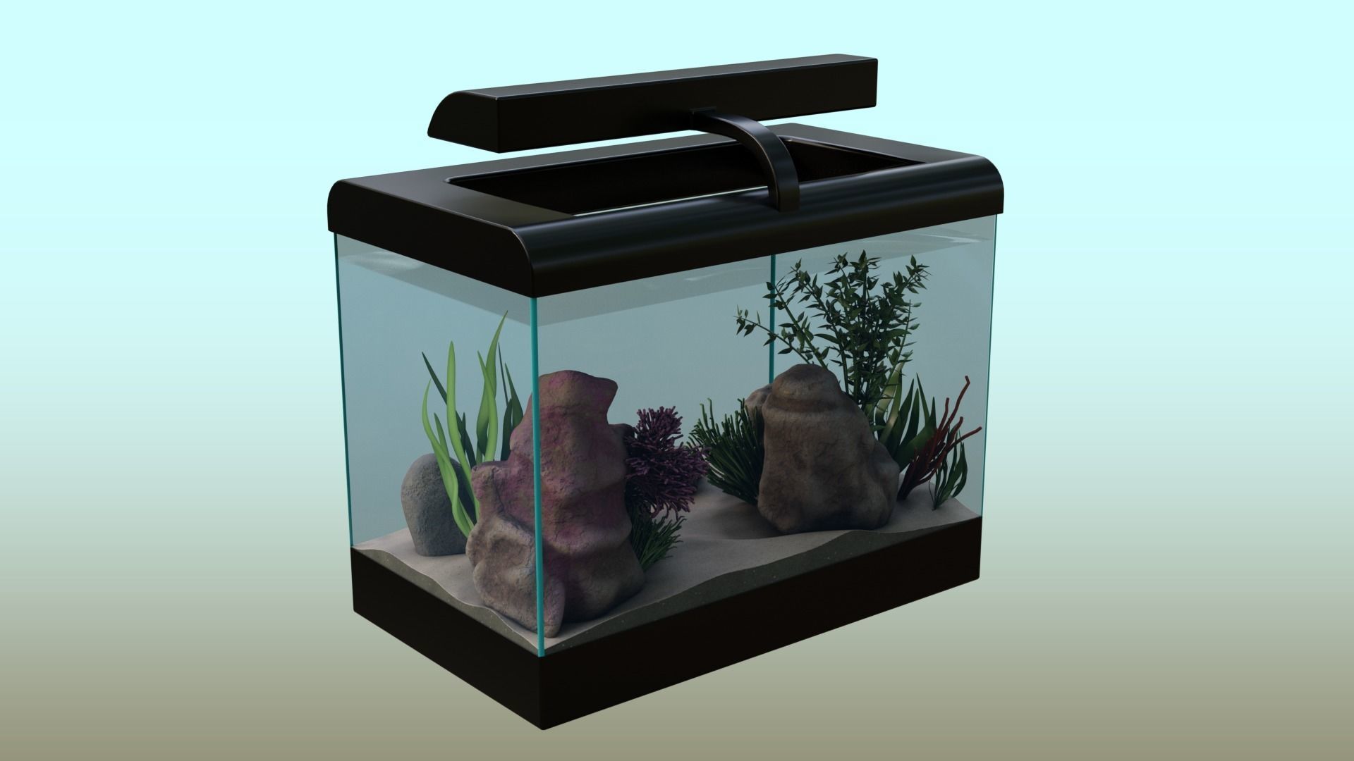 Fish Tank   Low-poly 3D model_3