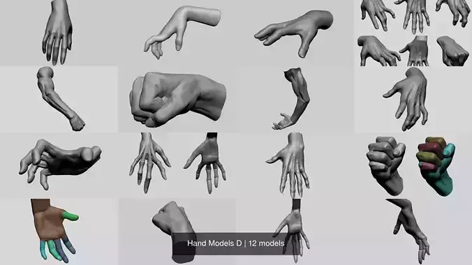 Hand Models D 3D Model Collection