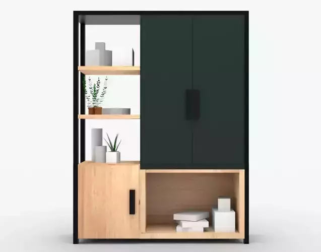 Modern Closet design