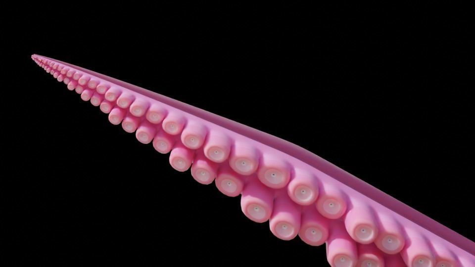 Tentacle Generator Low-poly 3D model_12