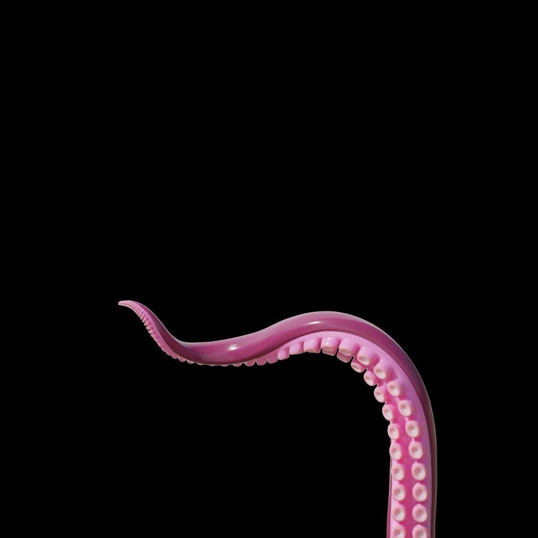 Tentacle Generator Low-poly 3D model_14