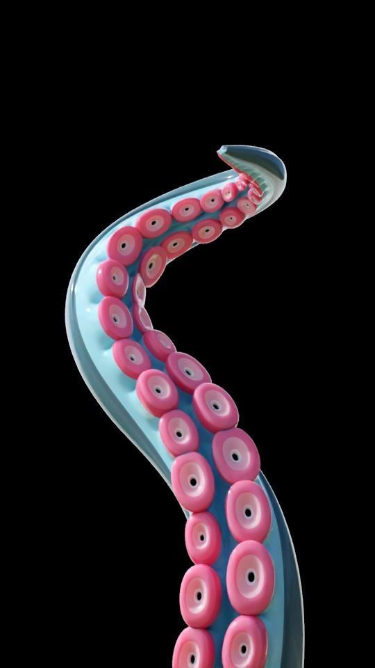 Tentacle Generator Low-poly 3D model_8