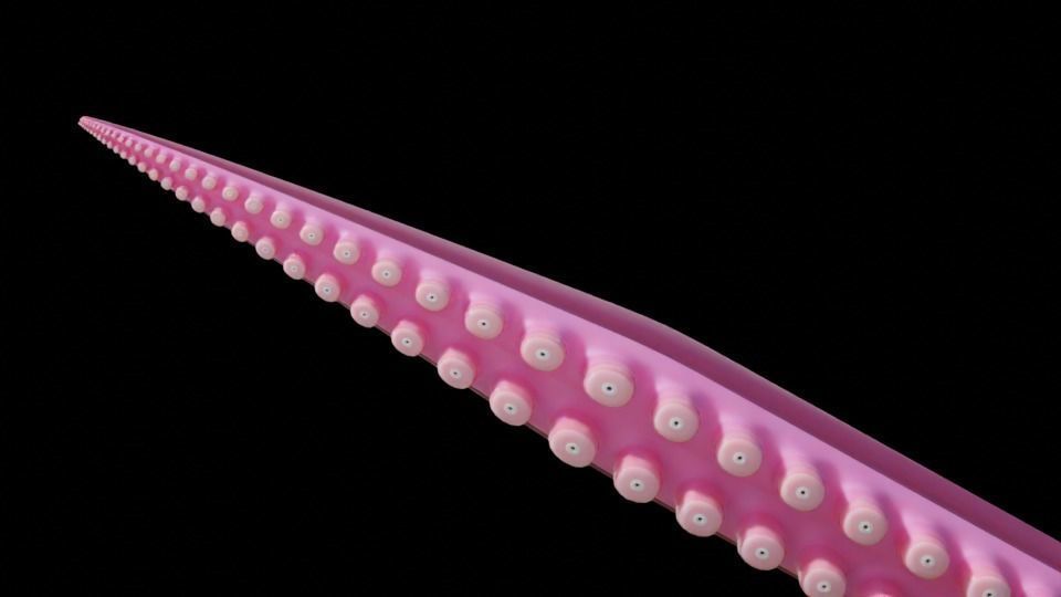 Tentacle Generator Low-poly 3D model_11