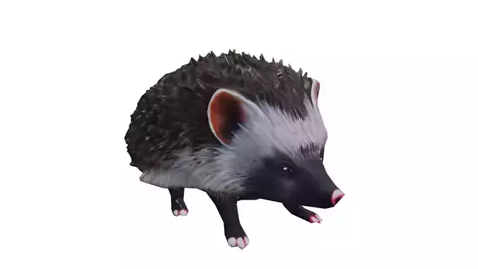 Long-eared Hedgehog low-poly PBR 