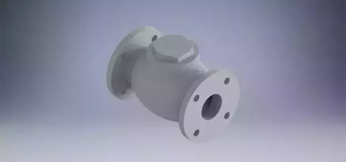 Non-Return Valve