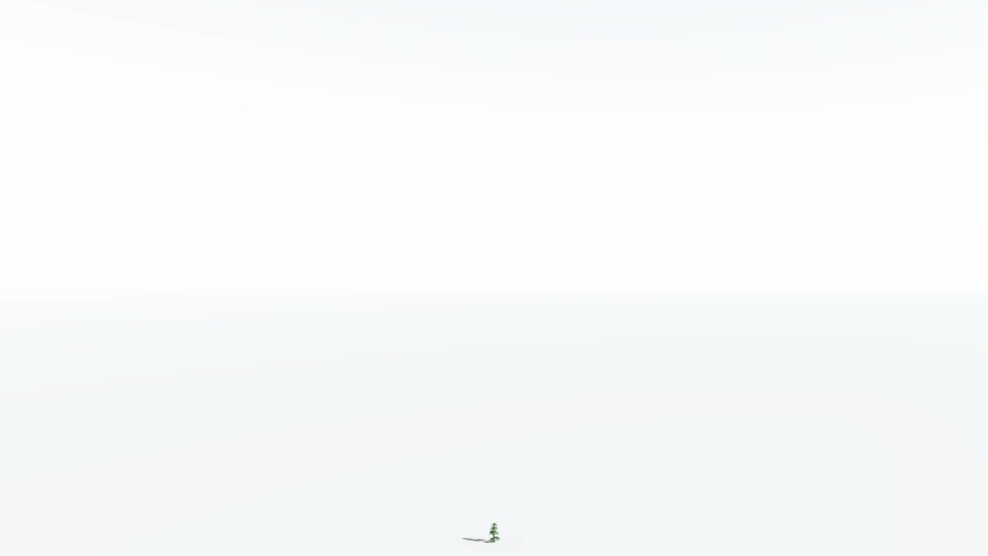 EVERYPlant Kauri 4 --12 Models-- 3D model_20