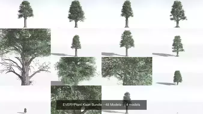 EVERYPlant Kauri Bundle --48 Models-- 3D Model Collection
