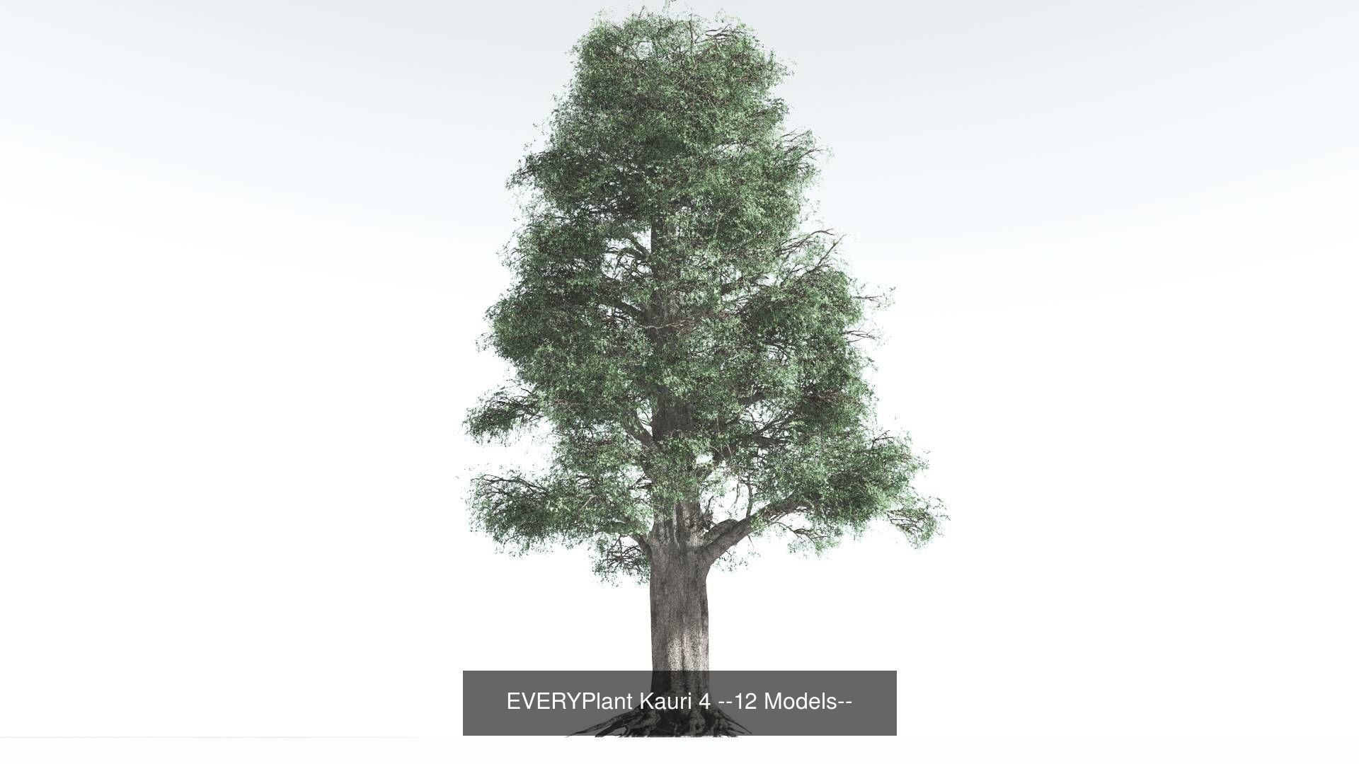 EVERYPlant Kauri Bundle --48 Models-- 3D Model Collection_4