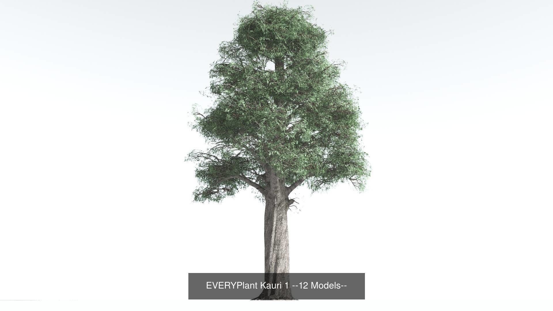 EVERYPlant Kauri Bundle --48 Models-- 3D Model Collection_1
