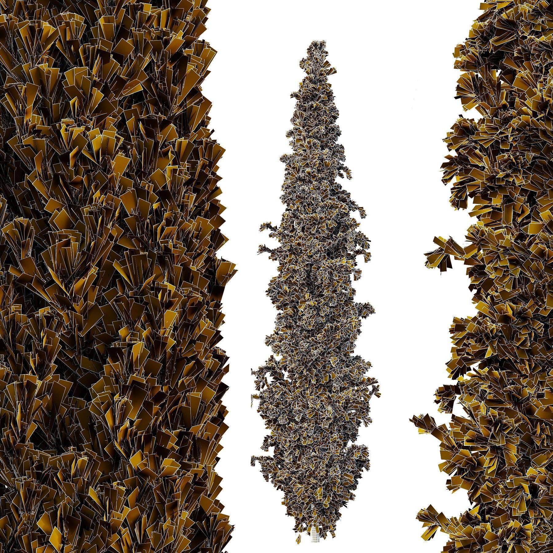 Cedrus deodara14 3D model_2