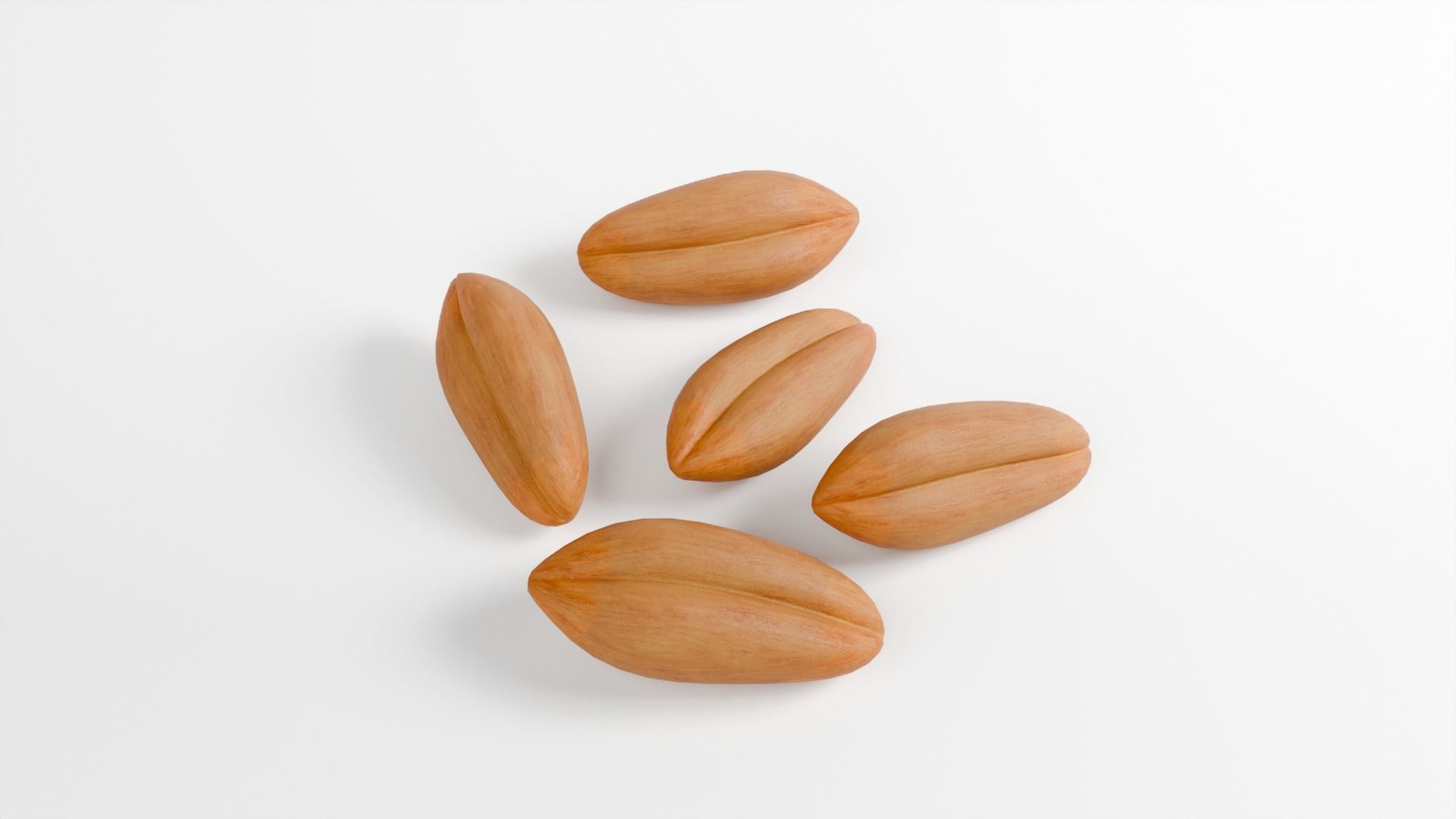 WHEAT SEEDS 3D model_4