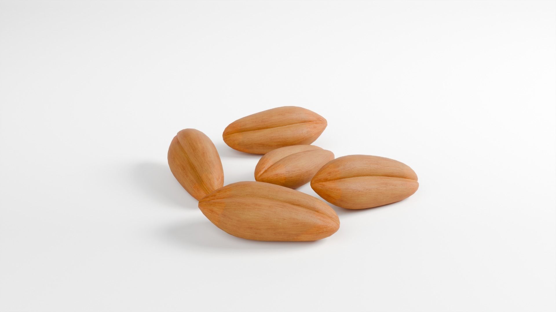WHEAT SEEDS 3D model_3