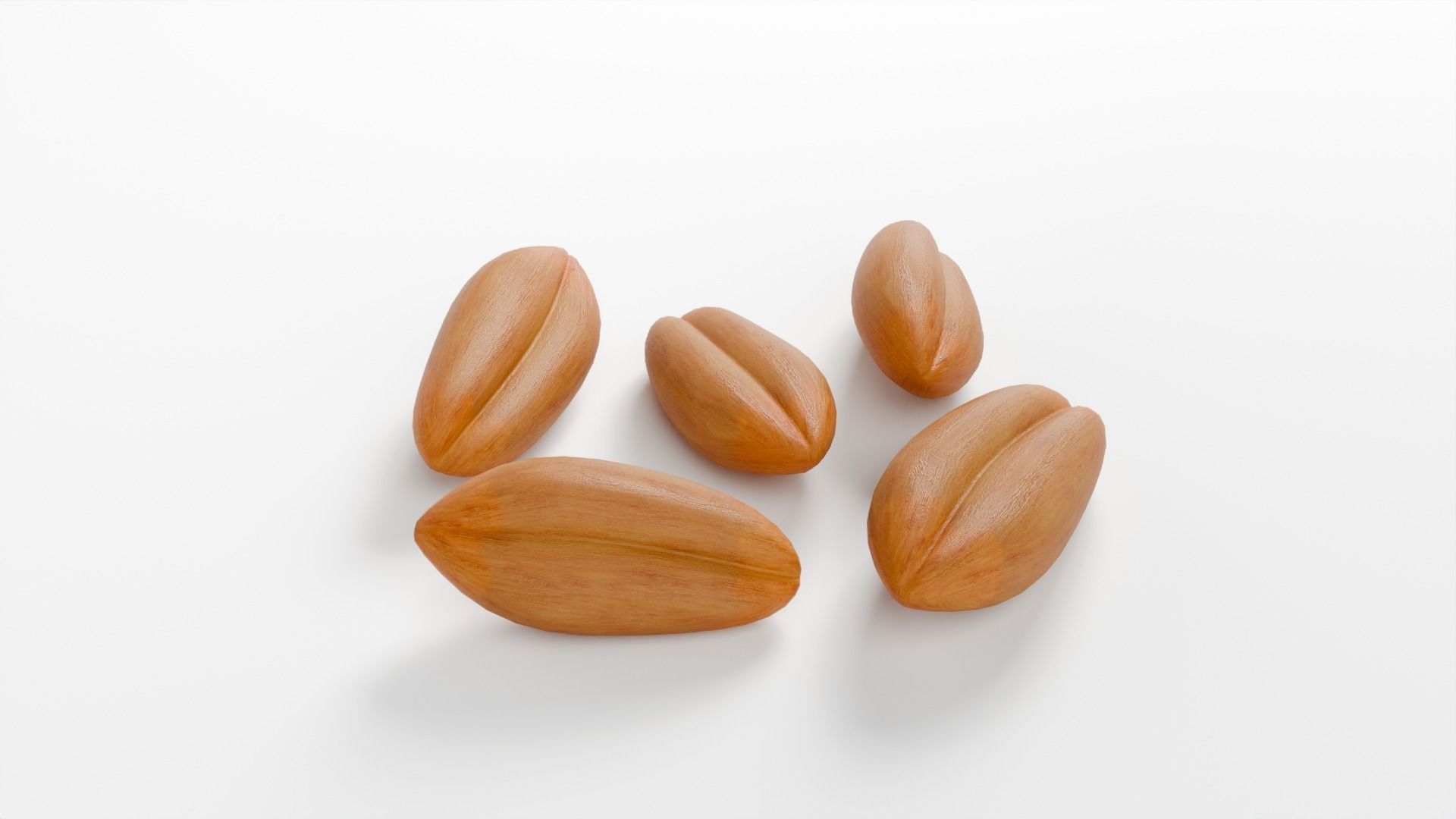 WHEAT SEEDS 3D model_2