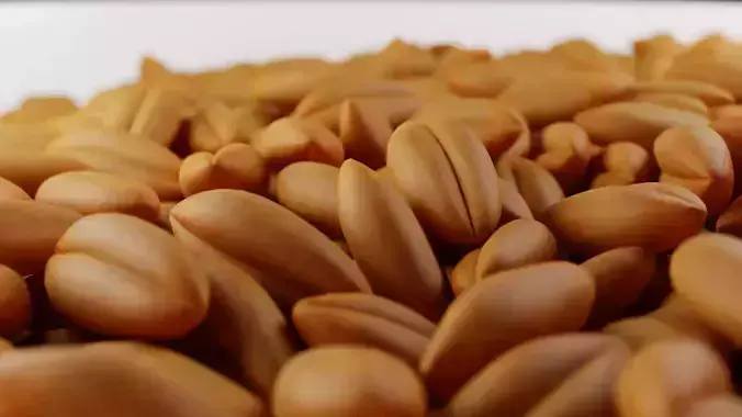 WHEAT SEEDS 3D model