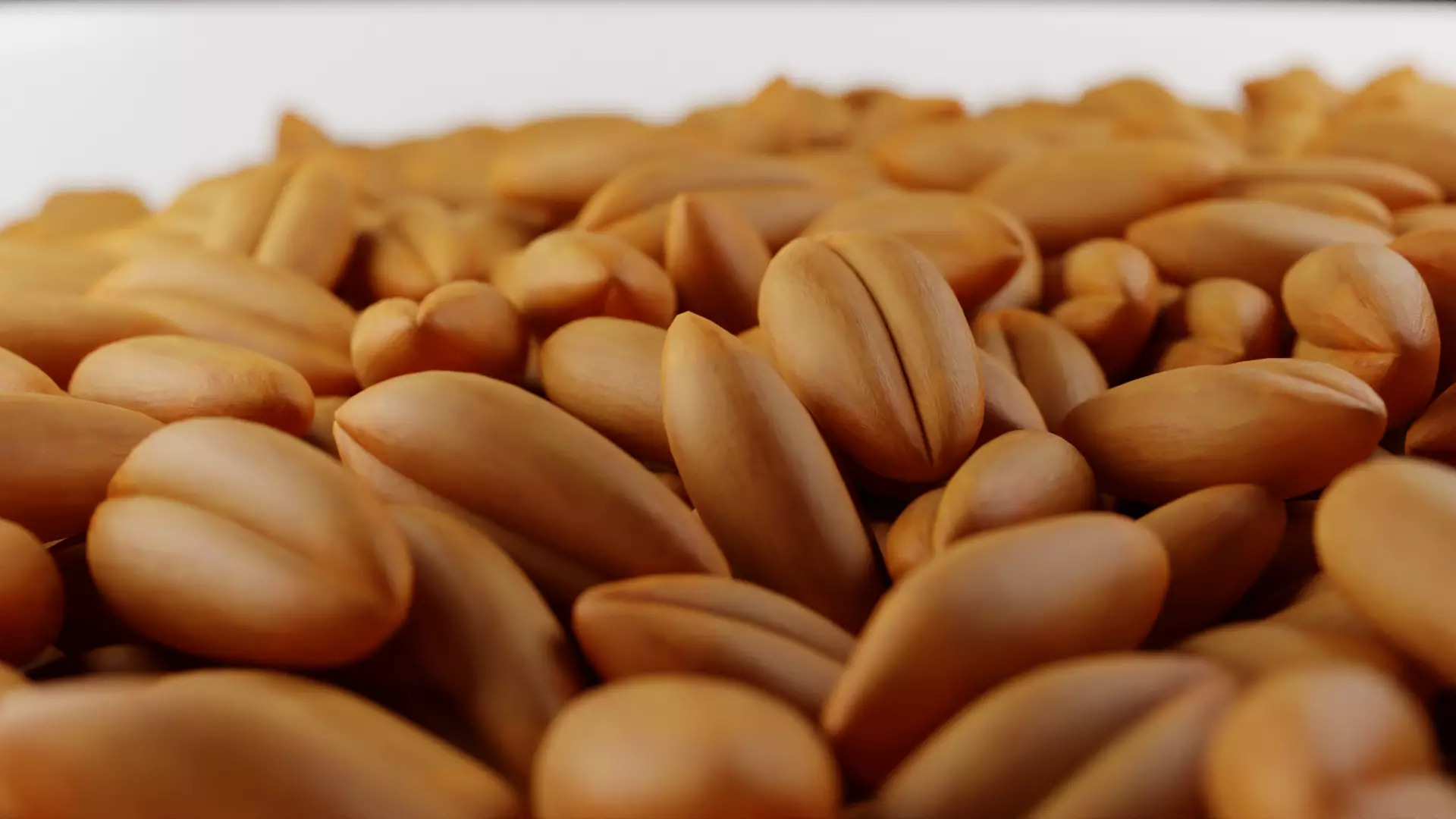 WHEAT SEEDS 3D model_0