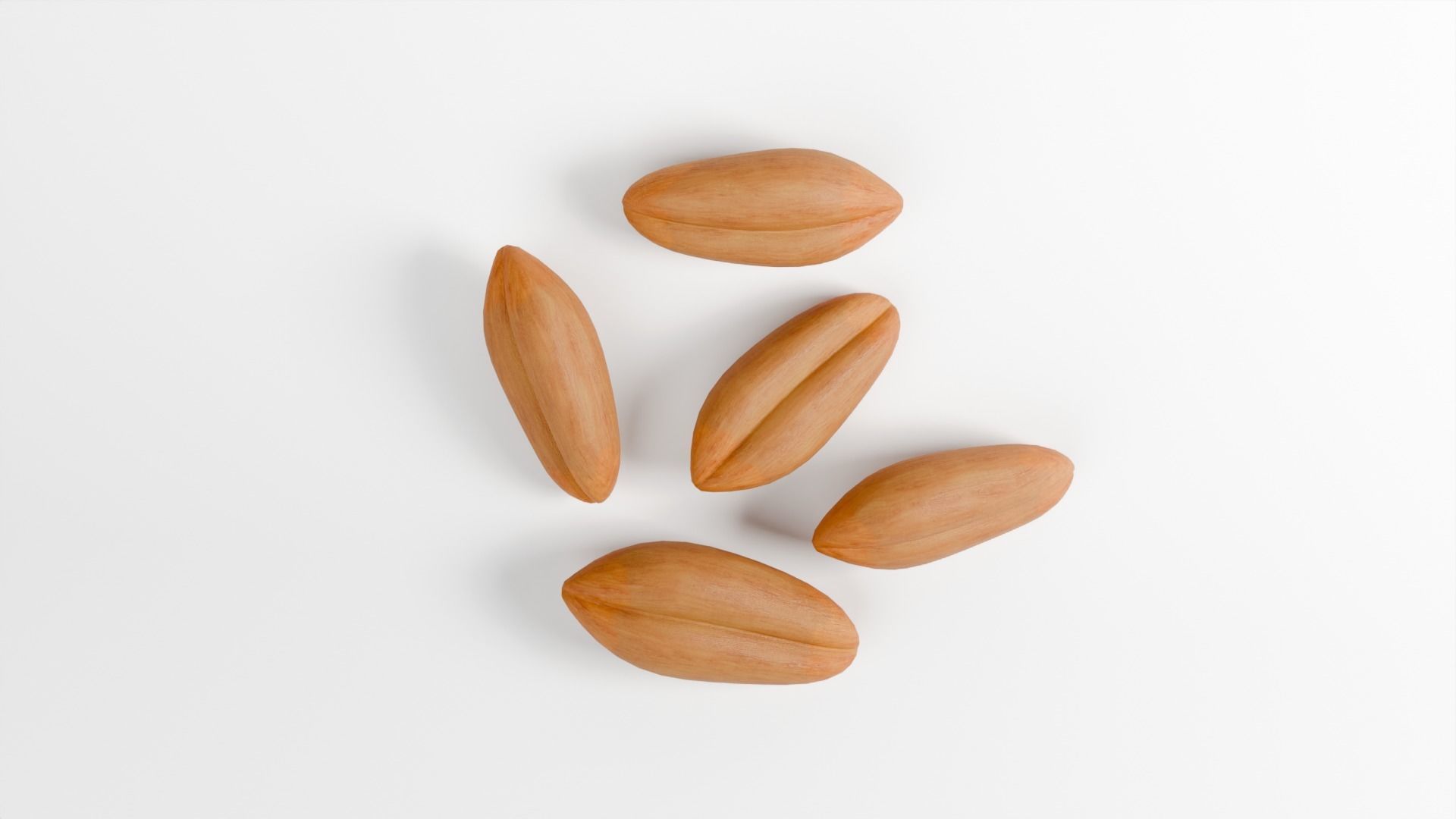 WHEAT SEEDS 3D model_6