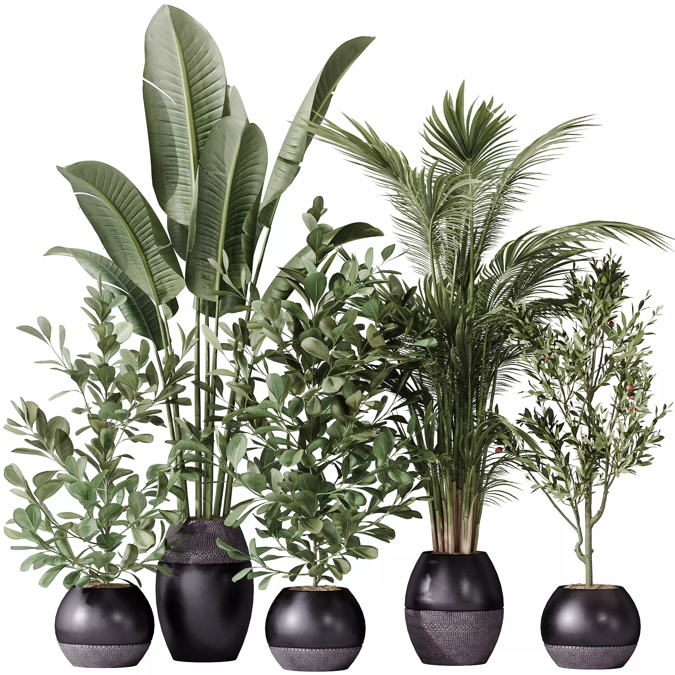 Indoor plant set 51 3D model