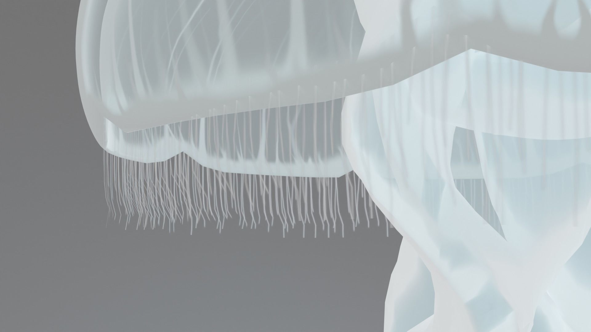 Aurelia Aurita or common jellyfish 3D model_4