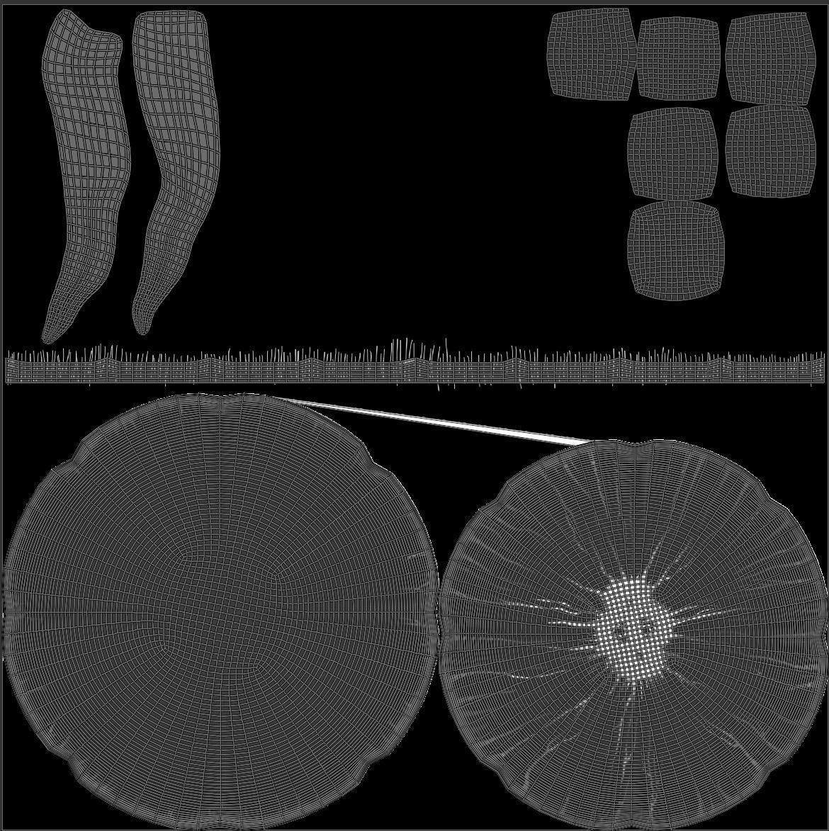 Aurelia Aurita or common jellyfish 3D model_6
