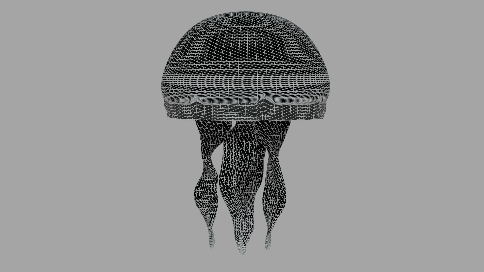 Aurelia Aurita or common jellyfish 3D model_5