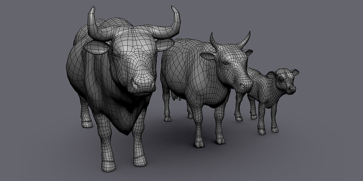 19 Domestic Animal Collection _26