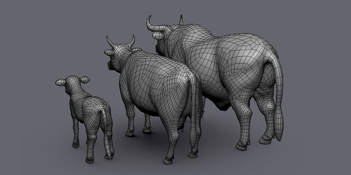 19 Domestic Animal Collection _32