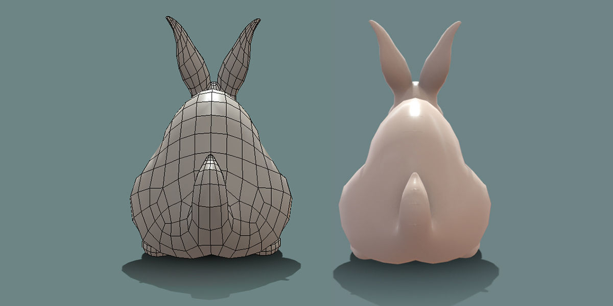 19 Domestic Animal Collection _60