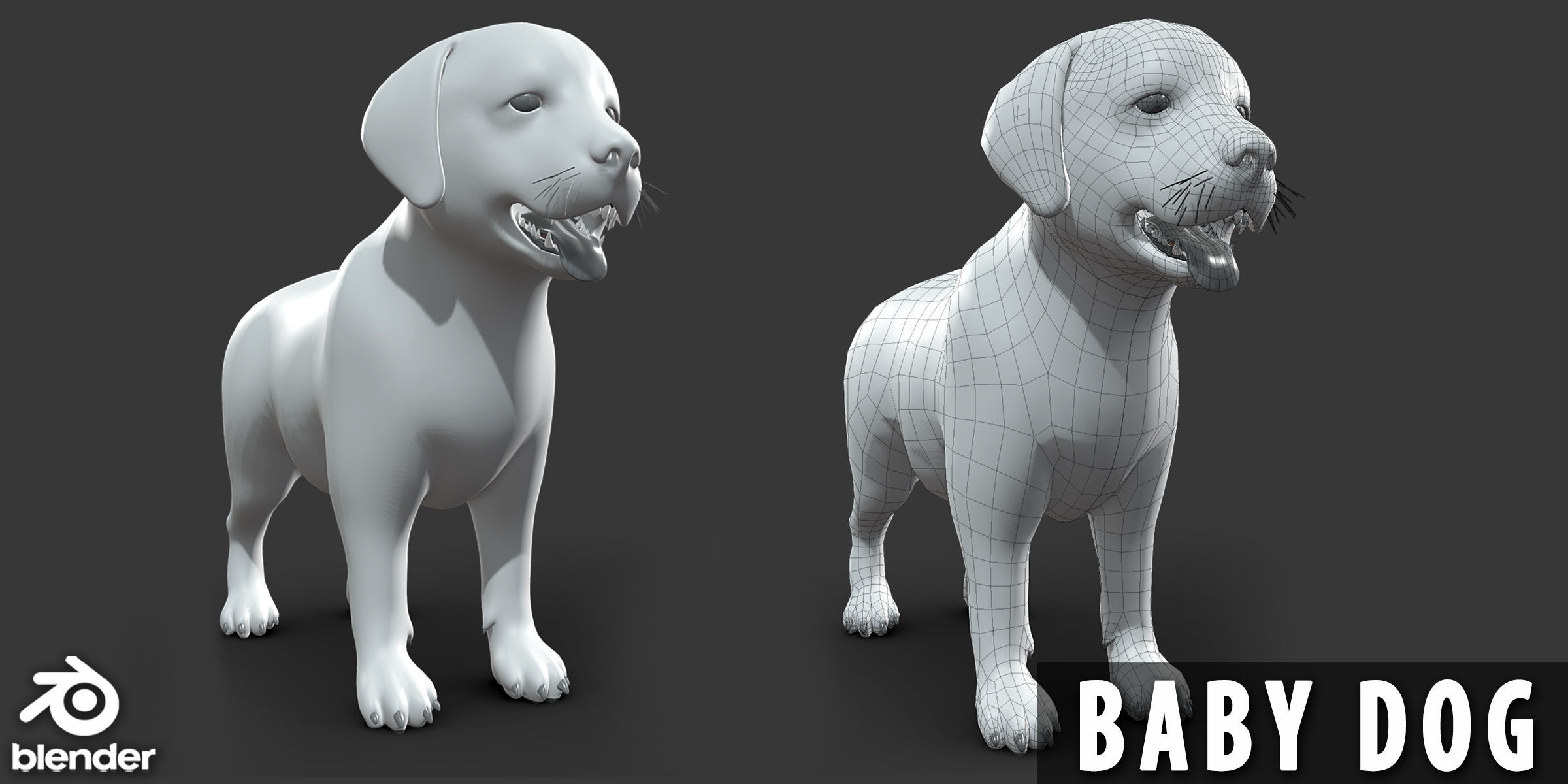 19 Domestic Animal Collection _12