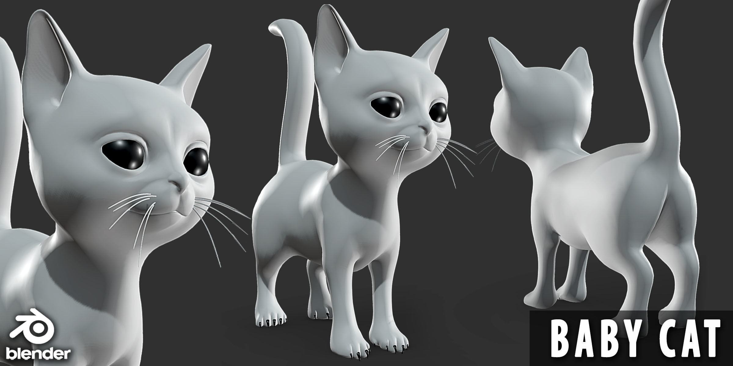 19 Domestic Animal Collection _14