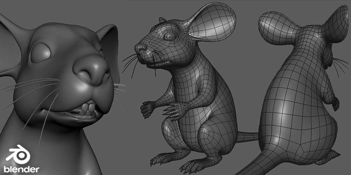 19 Domestic Animal Collection _15