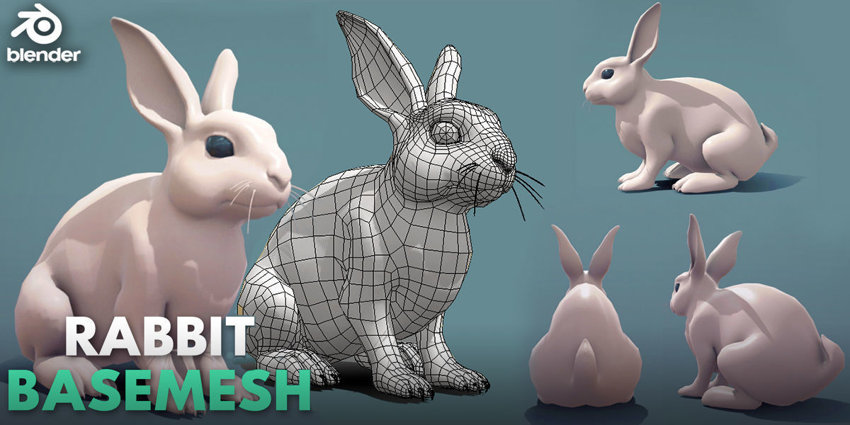 19 Domestic Animal Collection _17