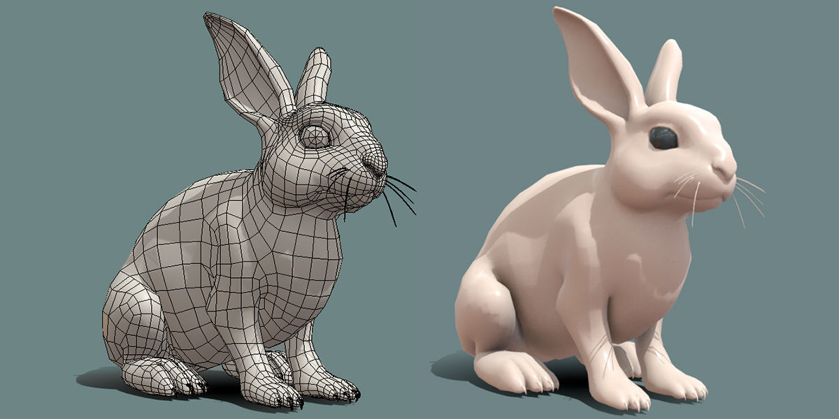 19 Domestic Animal Collection _57