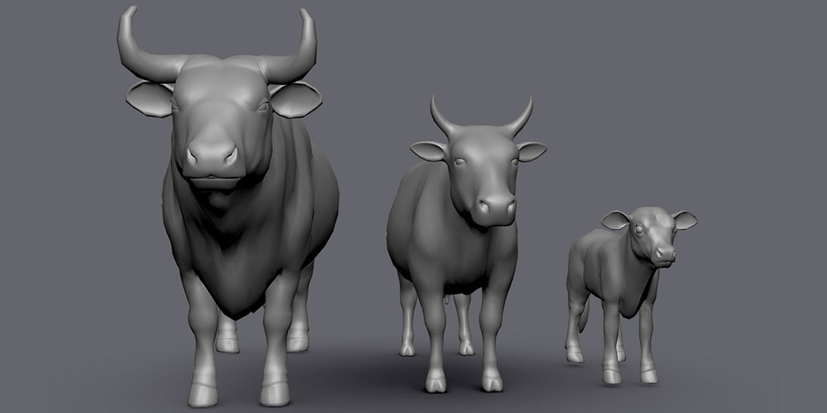 19 Domestic Animal Collection _27